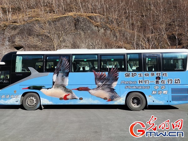 长白山“涂鸦巴士”让野生动物保护生动入心