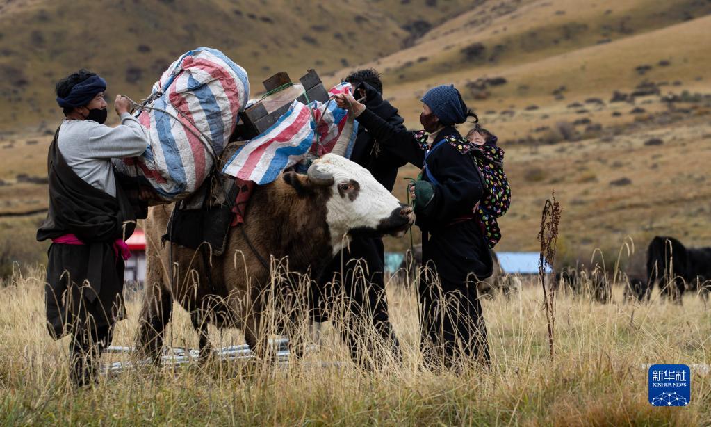 川西北藏牧民开始冬季转场