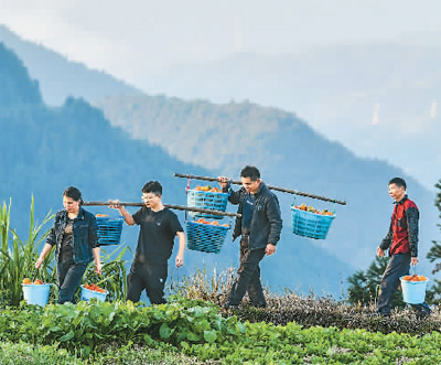 关于“国之大者”，习近平这样说