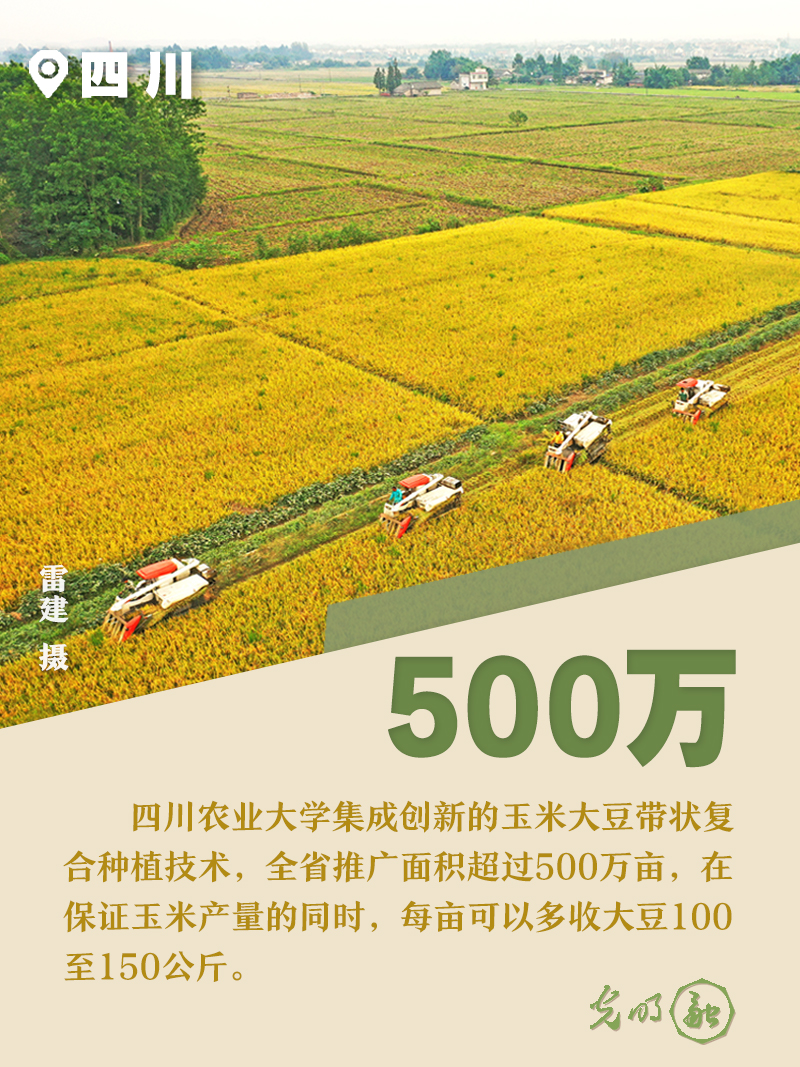 【海报】六组数字，解码“十八连丰”的中国粮仓