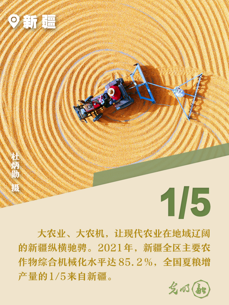 【海报】六组数字，解码“十八连丰”的中国粮仓