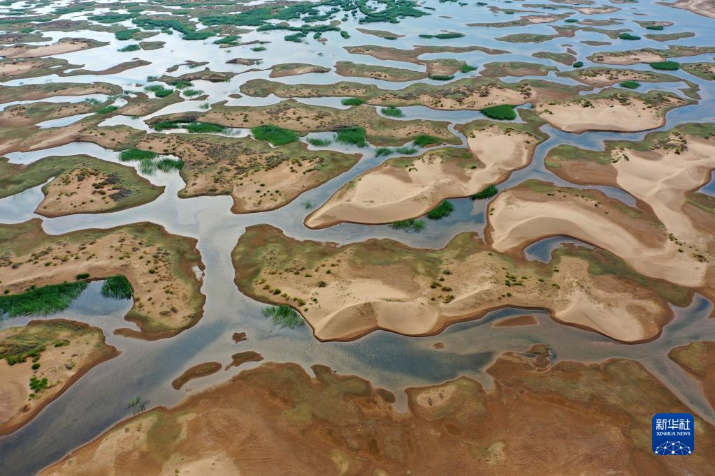 大美湿地