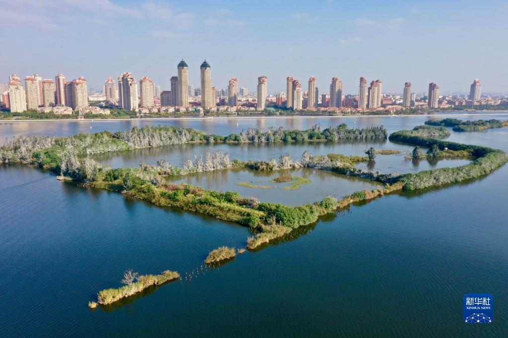 大美湿地