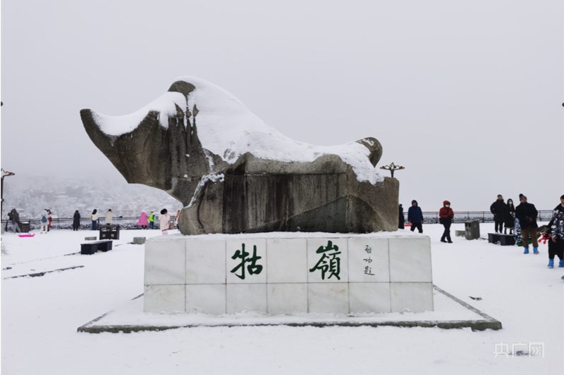 【冬韵美】庐山降瑞雪 游客开心过大年