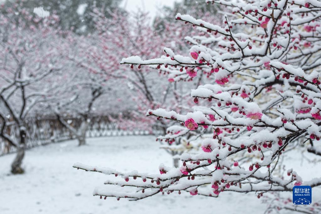 杭州：雪落西湖