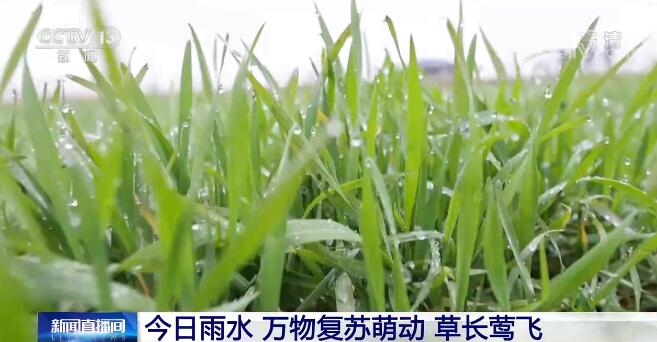 今日雨水 | 万物复苏萌动 草长莺飞