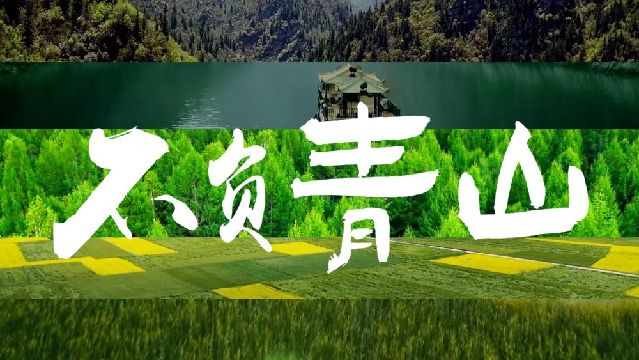 微视频｜不负青山