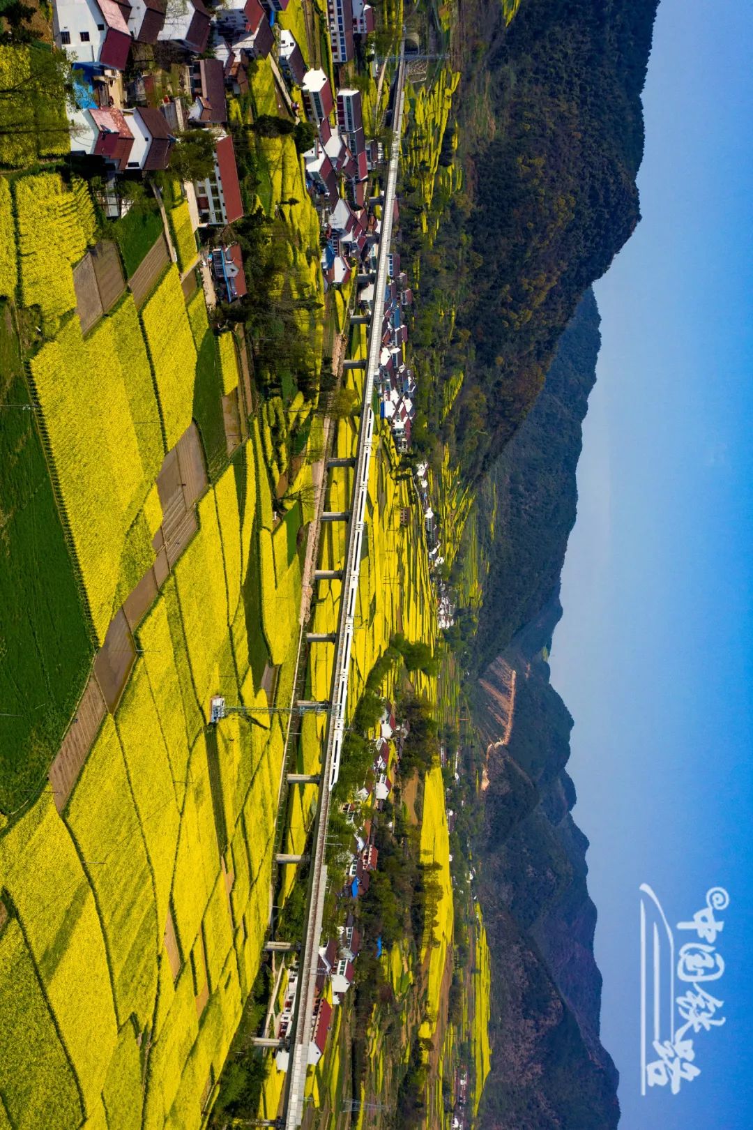 特辑｜跨越山河，中国4万公里高铁如何纵横延展？