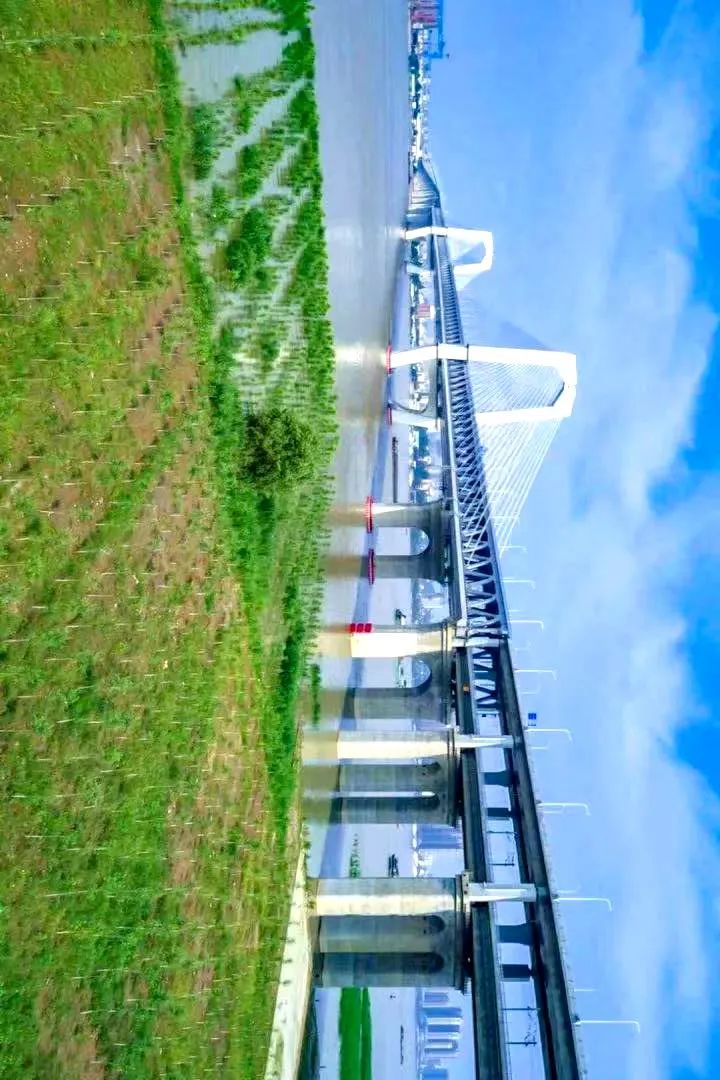 特辑｜跨越山河，中国4万公里高铁如何纵横延展？