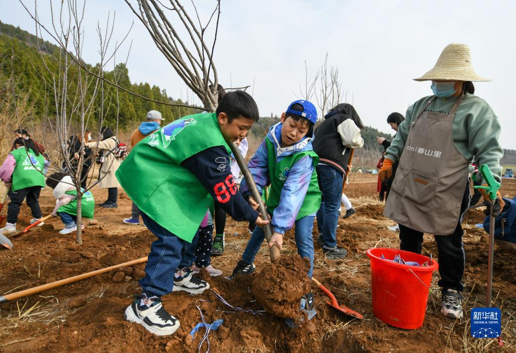 新华全媒+｜矿坑植树为“地球伤疤”做“绿色美容”