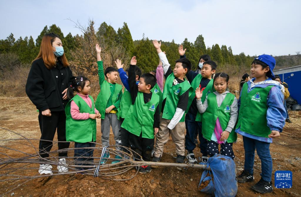 新华全媒+｜矿坑植树为“地球伤疤”做“绿色美容”