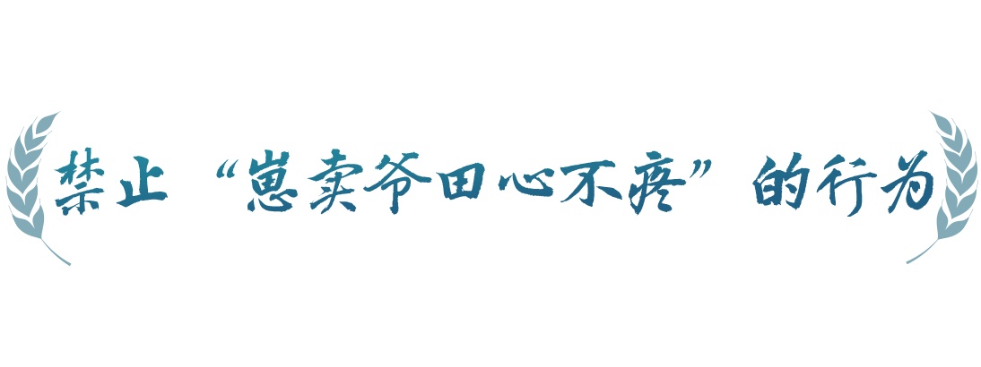 春事看农桑丨农田就是农田