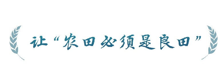 春事看农桑丨农田就是农田