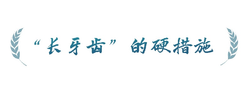 春事看农桑丨农田就是农田
