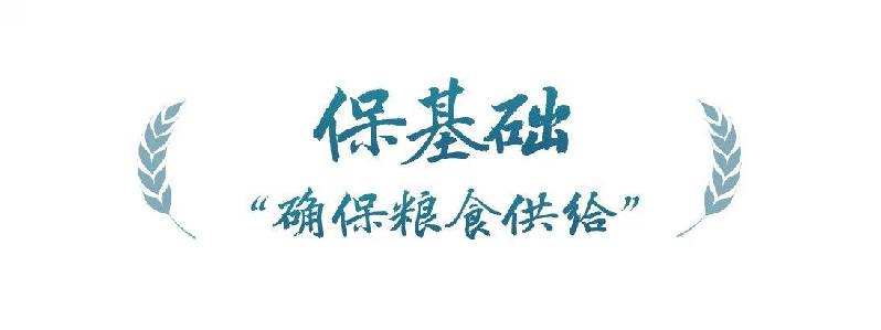 春事看农桑丨“大食物观”托起“舌尖幸福”