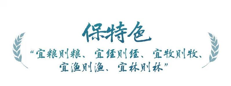 春事看农桑丨“大食物观”托起“舌尖幸福”