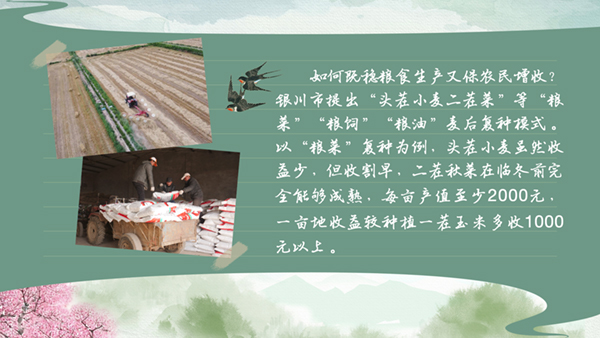 【有声手账】春耕时节,我们在行动⑥：“粮蔬混搭”，一亩掰成两亩种