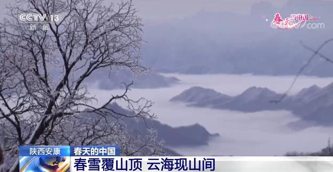 花开三月 春回大地 神州各地处处欣欣向荣