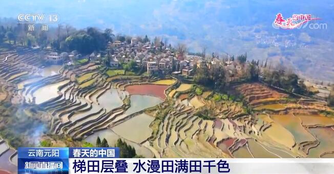 花开三月 春回大地 神州各地处处欣欣向荣