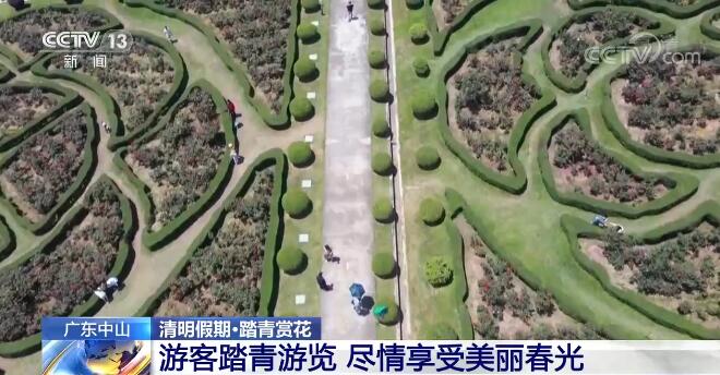 清明时节·踏青赏花 | 游客踏青游览 尽情享受美丽春光