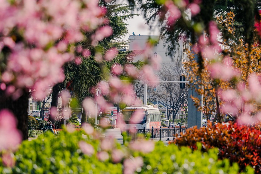 河南汝阳：繁花似锦满眼春