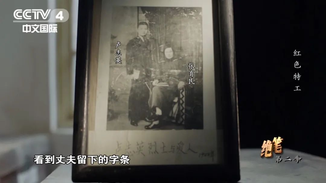 冷静谨慎的红色特工们,只能将爱藏在文字里