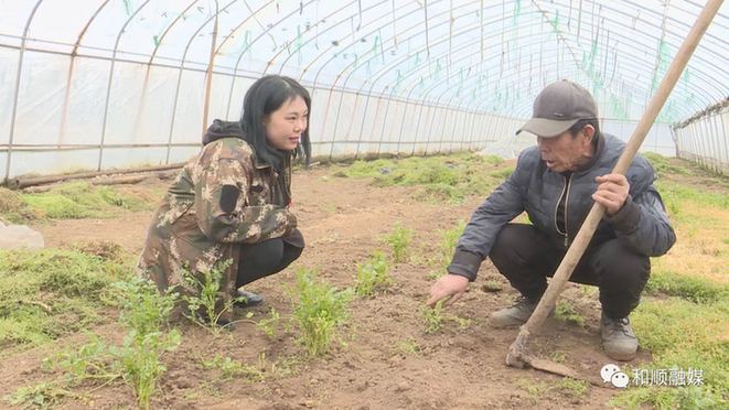 【网络中国节·二十四节气】谷雨：春耕正当时 大学生村官助力新农事