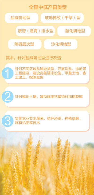 千古河套建良田（一线调研）
