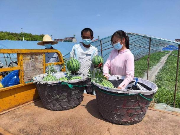 新华全媒+｜上海：商贸活动逐步恢复 “烟火气”渐渐回归