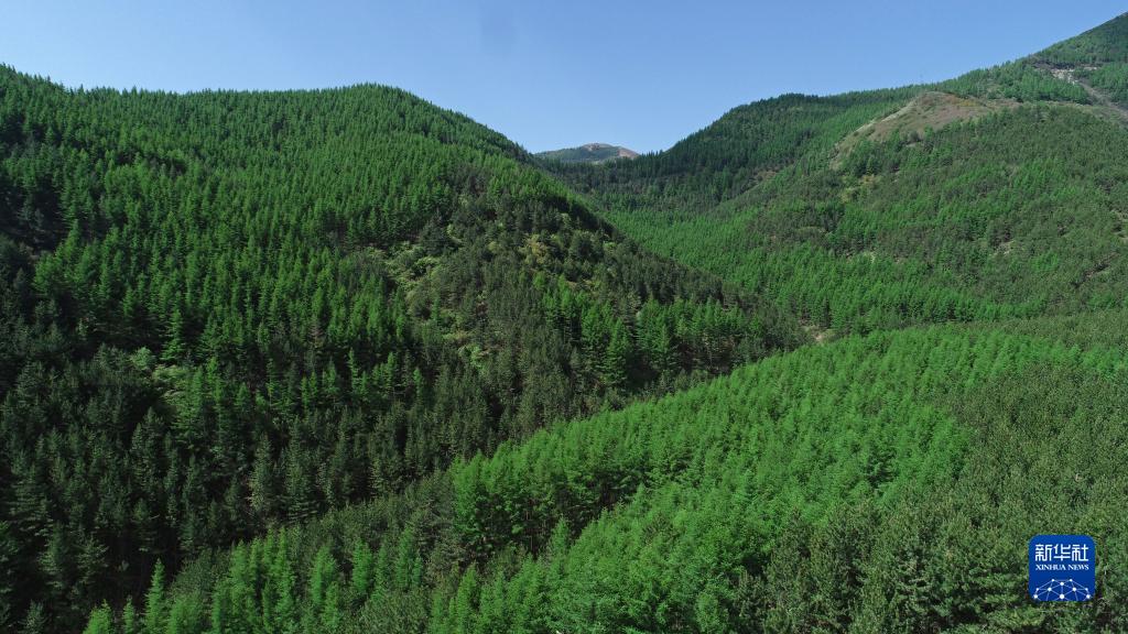 “四权”改革 “点金”六盘山——西海固向改革要动力推动乡村振兴