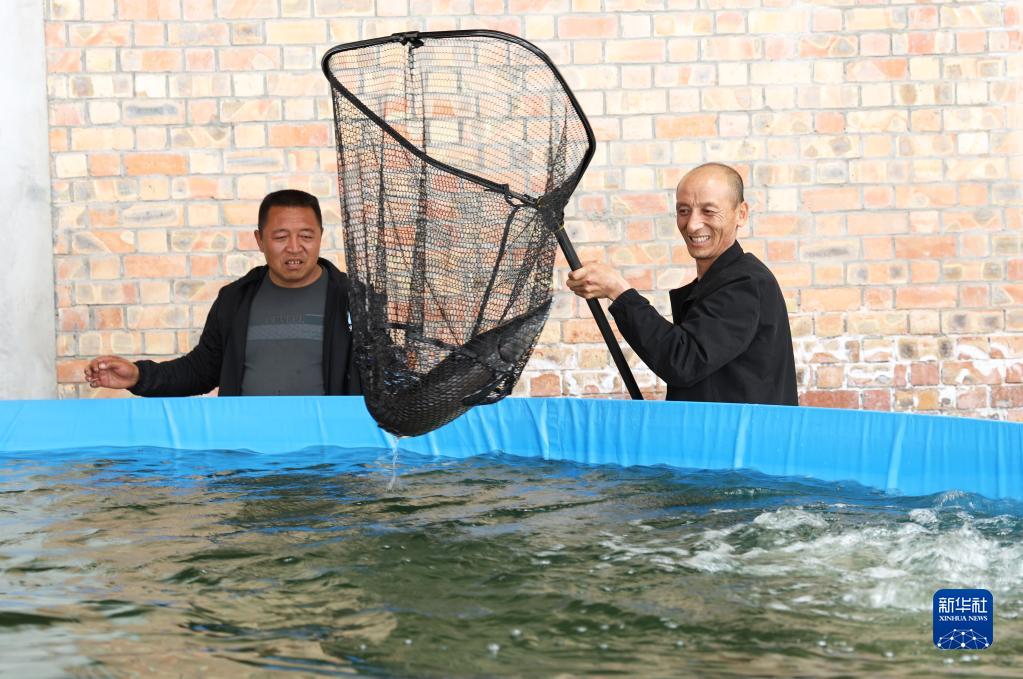 “四权”改革 “点金”六盘山——西海固向改革要动力推动乡村振兴