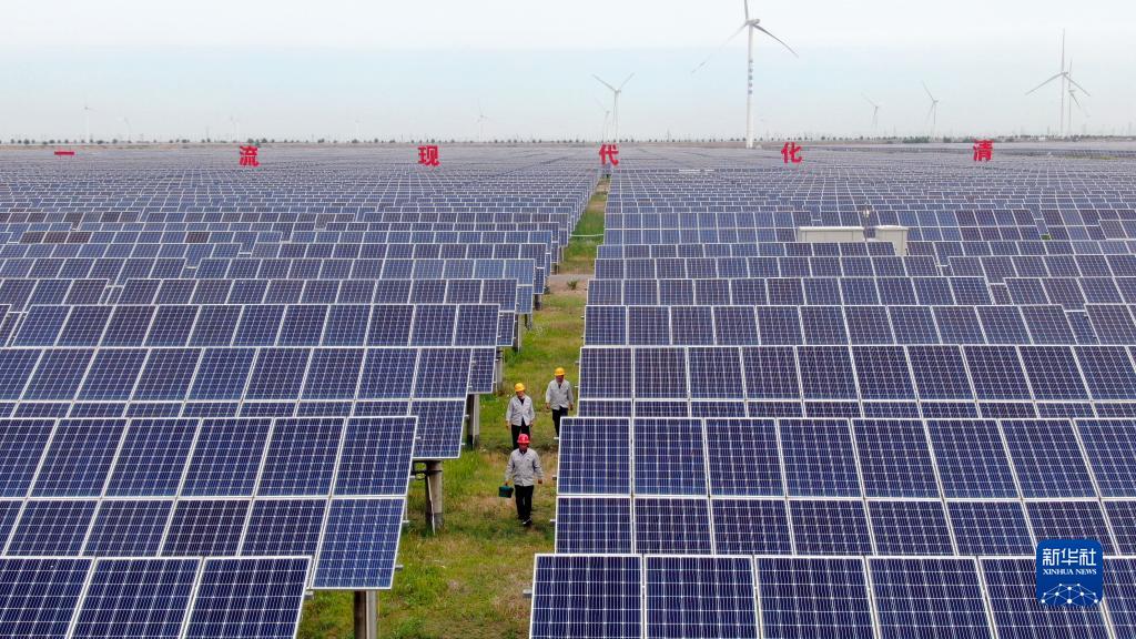 山东沾化：清洁能源 绿色发展