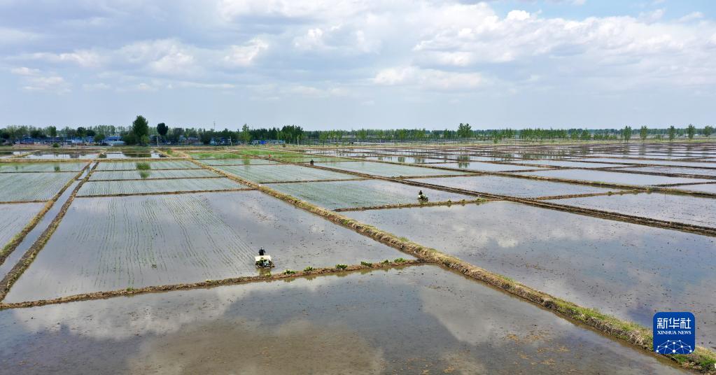 辽宁：水稻插秧忙