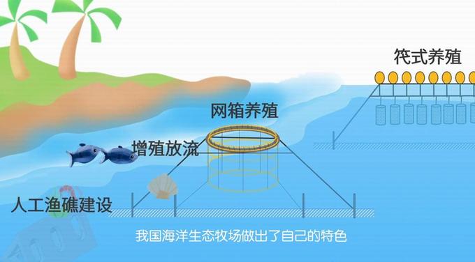 【晒晒咱的国之重器29】全域型海洋生态牧场：走向深蓝的巨型“粮仓”