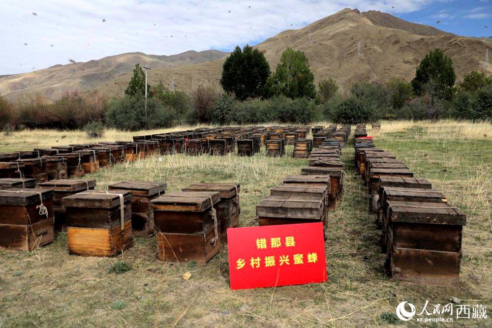 西藏山南：蜜罐里的幸福生活