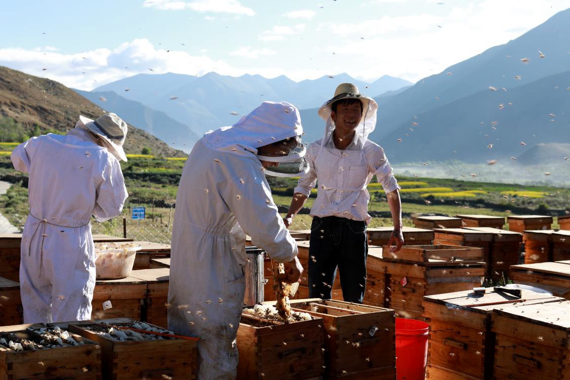 西藏山南：蜜罐里的幸福生活