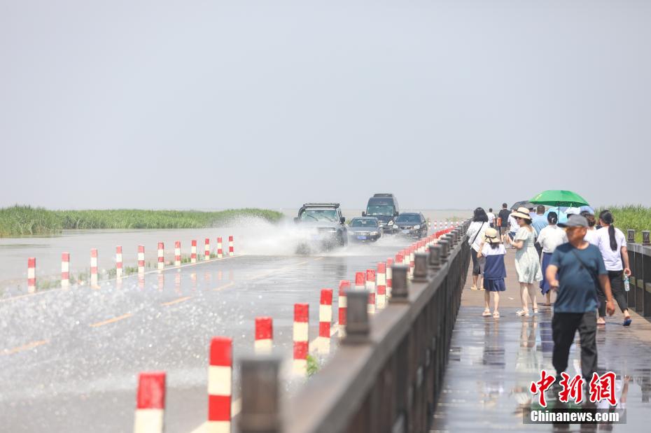 江西鄱阳湖畔再现“限时”景观“水上公路”