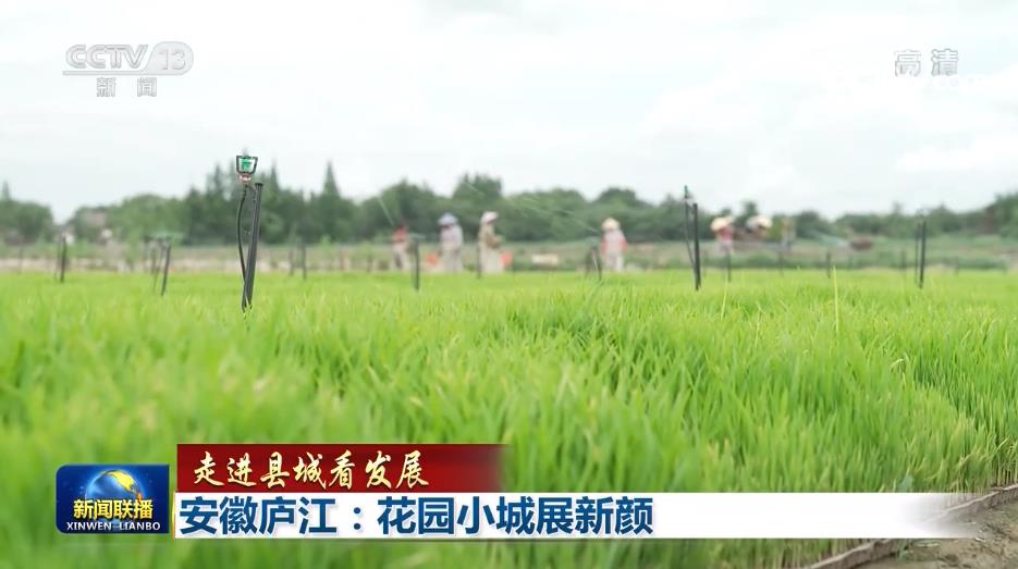 【走进县城看发展】安徽庐江:花园小城展新颜 【走进县城看发展】安徽庐江:花园小城展新颜