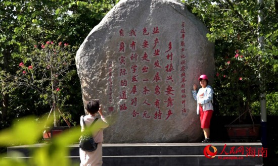 特色产业铺就海口施茶村乡村振兴“幸福路”