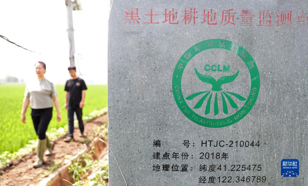 新华全媒+｜黑土地的守护者