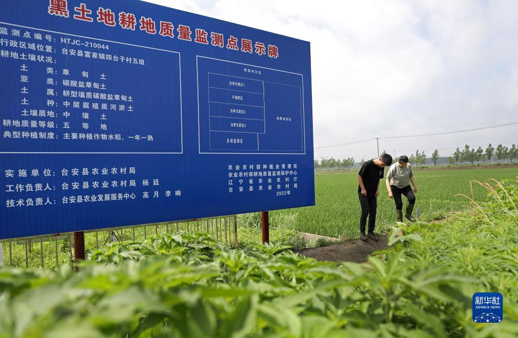 新华全媒+｜黑土地的守护者
