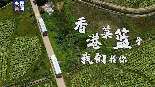 我是“湘港人”丨香港菜篮子，我哋撑你！