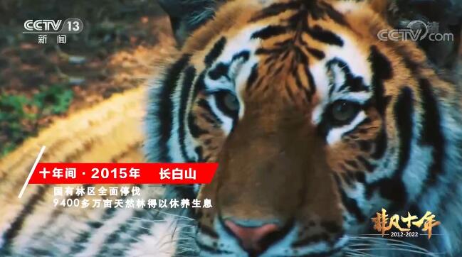 【奋进新征程 建功新时代·非凡十年】变化中的吉林正奋力书写新时代的辉煌篇章