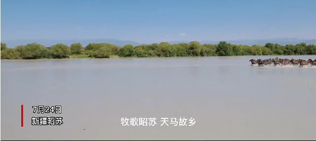 【2022中国有约】新疆昭苏上演“天马浴河”壮观景象