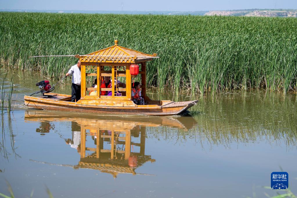 桑干河湿地风光美