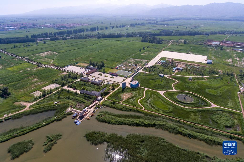 桑干河湿地风光美