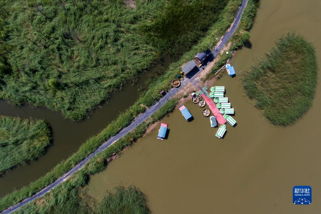 桑干河湿地风光美
