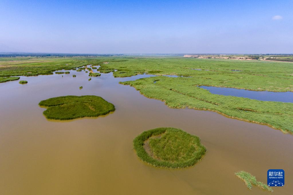 桑干河湿地风光美