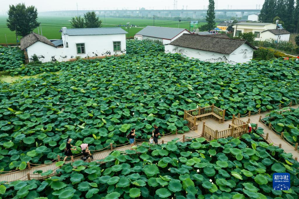 奋进新征程 建功新时代·非凡十年｜四川：在新征程上奋力谱写治蜀兴川新篇章