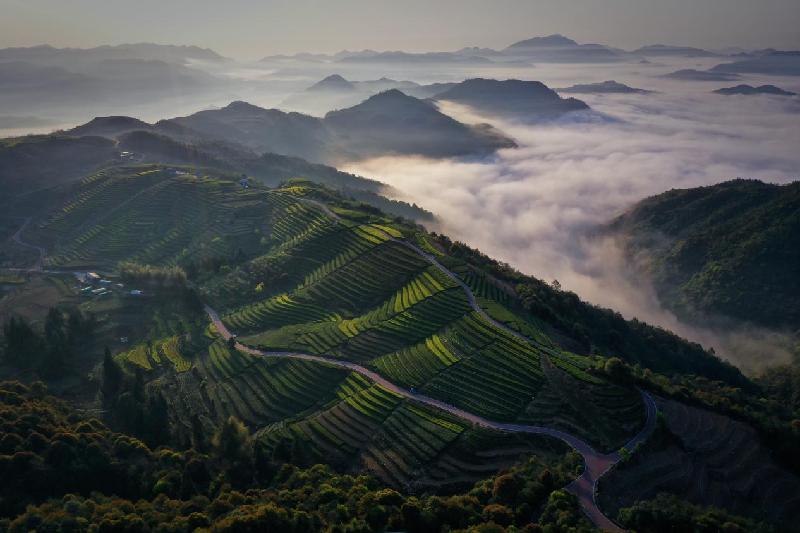 一起跨越看泰顺•共富故事丨25年,定点帮扶“考卷”如何答?——浙江省纪委帮扶泰顺纪实 一起跨越看泰顺•共富故事丨25年,定点帮扶“考卷”如何答?——浙江省纪委帮扶泰顺纪实